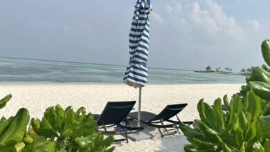 Luxury Cheap International Flights Deals: Unbeatable Offers For Upscale Travel